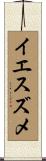 イエスズメ Scroll