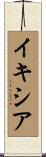 イキシア Scroll