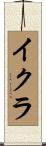 イクラ Scroll