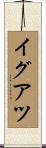 イグアツ Scroll