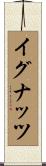 イグナッツ Scroll