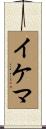 イケマ Scroll