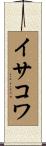 イサコワ Scroll