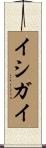イシガイ Scroll