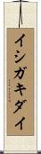 イシガキダイ Scroll