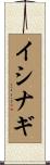 イシナギ Scroll