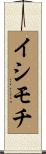 イシモチ Scroll