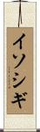 イソシギ Scroll
