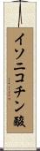 イソニコチン酸 Scroll