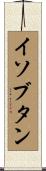 イソブタン Scroll