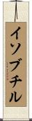 イソブチル Scroll