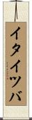 イタイツバ Scroll