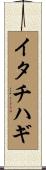 イタチハギ Scroll