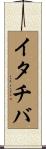 イタチバ Scroll