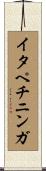 イタペチニンガ Scroll