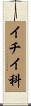 イチイ科 Scroll