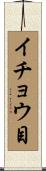 イチョウ目 Scroll
