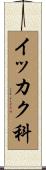 イッカク科 Scroll