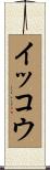 イッコウ Scroll