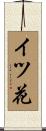 イツ花 Scroll