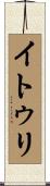 イトゥリ Scroll