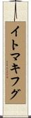 イトマキフグ Scroll