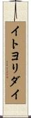 イトヨリダイ Scroll