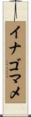 イナゴマメ Scroll