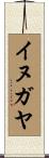 イヌガヤ Scroll
