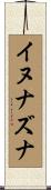イヌナズナ Scroll
