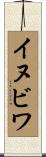 イヌビワ Scroll