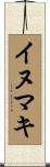 イヌマキ Scroll