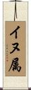 イヌ属 Scroll