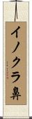 イノクラ鼻 Scroll