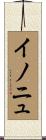 イノニュ Scroll