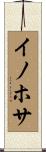 イノホサ Scroll