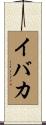 イバカ Scroll
