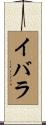 Ibarra Scroll