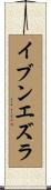 イブンエズラ Scroll