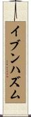 イブンハズム Scroll