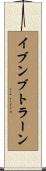 イブンブトラーン Scroll