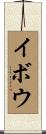 イボウ Scroll