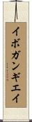イボガンギエイ Scroll