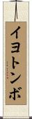 イヨトンボ Scroll