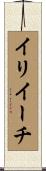 イリイーチ Scroll
