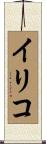 イリコ Scroll