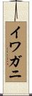 イワガニ Scroll