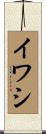 イワシ Scroll