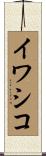 イワシコ Scroll