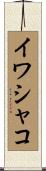 イワシャコ Scroll